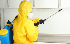 DIY vs Professional Pest Control in Vizag – Which is Better?