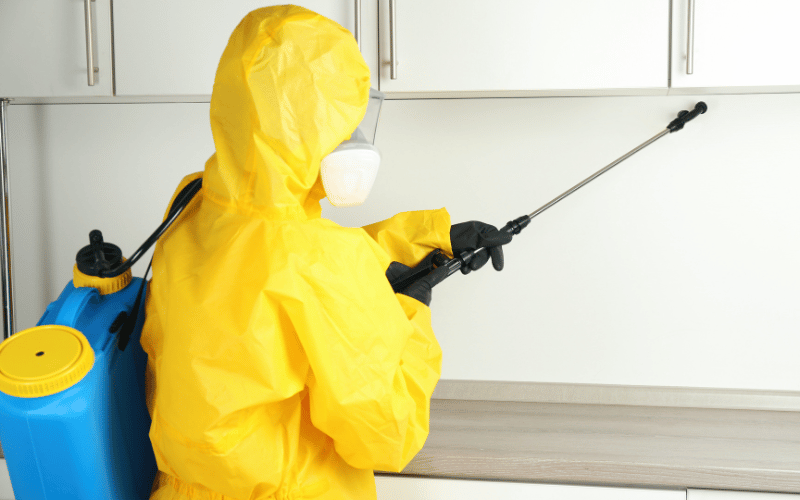 DIY vs Professional Pest Control in Vizag – Which is Better?
